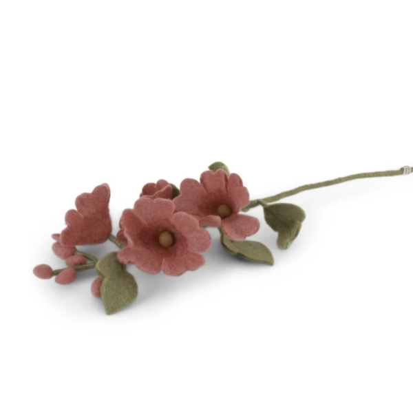 Rose trémière hollyhock 18616 gry&sif