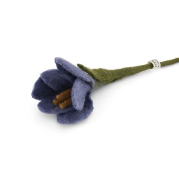 crocus purple tige gry&sif 17316