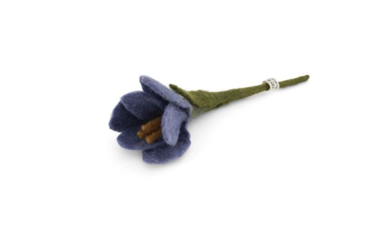 crocus purple tige gry&sif 17316