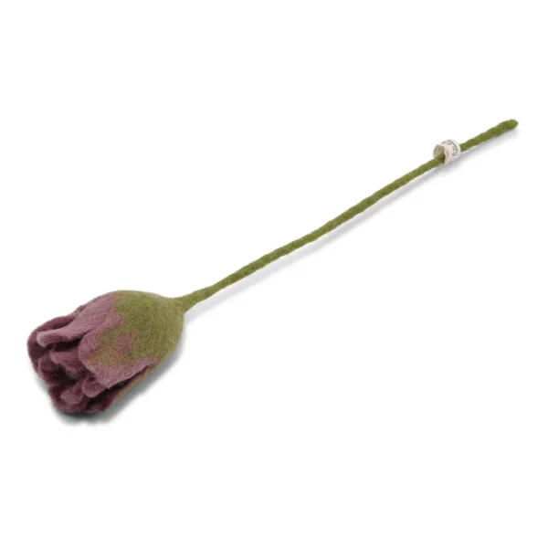 tulip purple gry&sif 11713